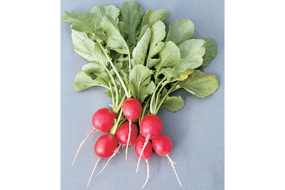 Cherriette – Radish Seed